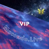Vip — from the Macondo.Live collection