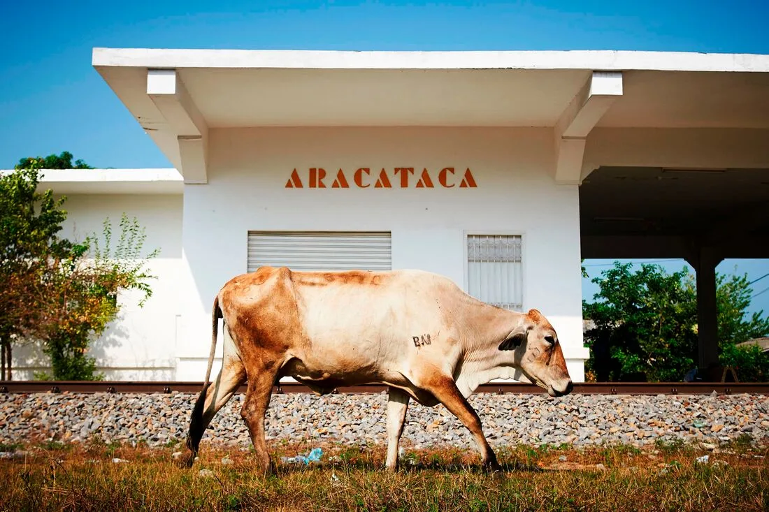 One Day In Aracataca Tour — from the Macondo.Live collection